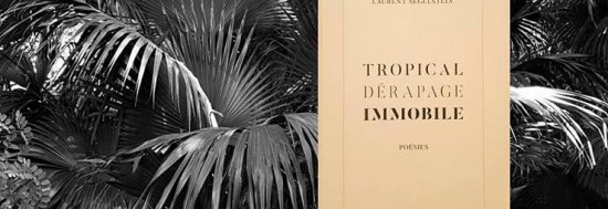 Tropical dérapage immobile – Poésies et dessins